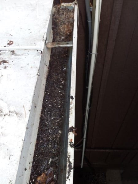 Clogged Back Gutter Madison