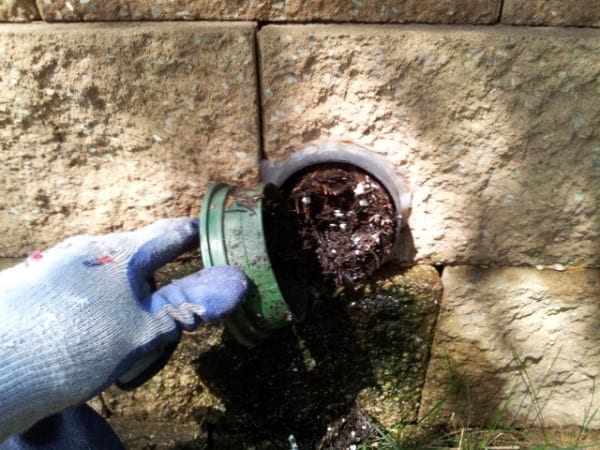 Clogged Downspout Drain Tile