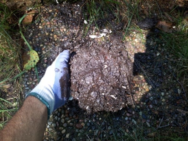 Sludge from Clogged Downspout
