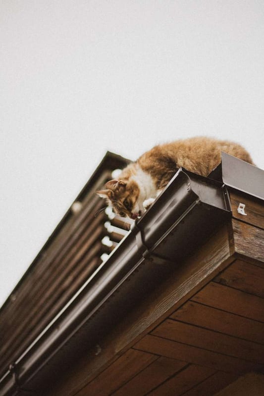 Keep Debris Out Of Your Gutter: Why You Should Install a Gutter Guard System