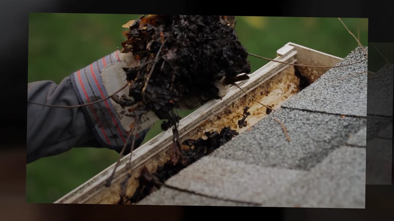 Stop Cleaning Your Gutters — All Weather ArmourGuard Gutter Guards